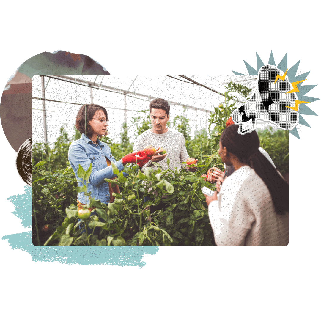 Boost Engagement with Bonuses